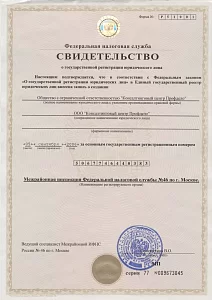 Свидетельство о государственной регистрации Профдело